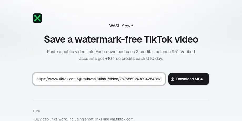 TikTok video URL pasted into the download field