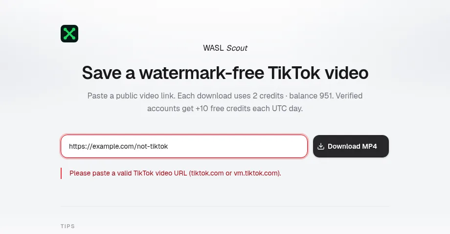 Invalid URL error message on the TikTok download page